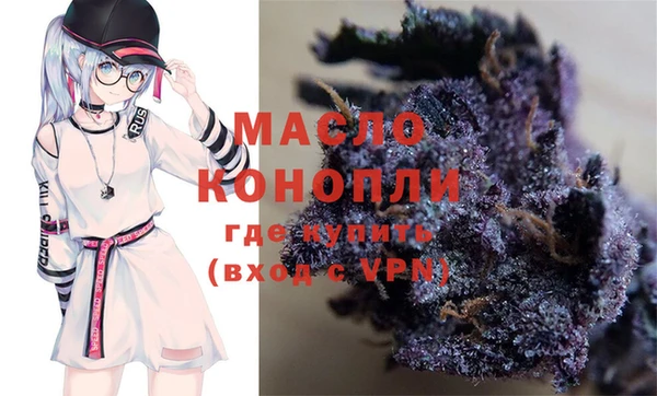 молекула духа Арсеньев