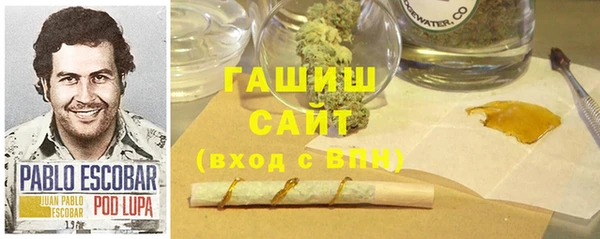 молекула духа Арсеньев