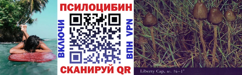 Галлюциногенные грибы ЛСД  купить   Берёзовский 